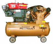 Máy nén khí chạy dầu diesel TM-W-1.6/12.5-500L (15HP)
